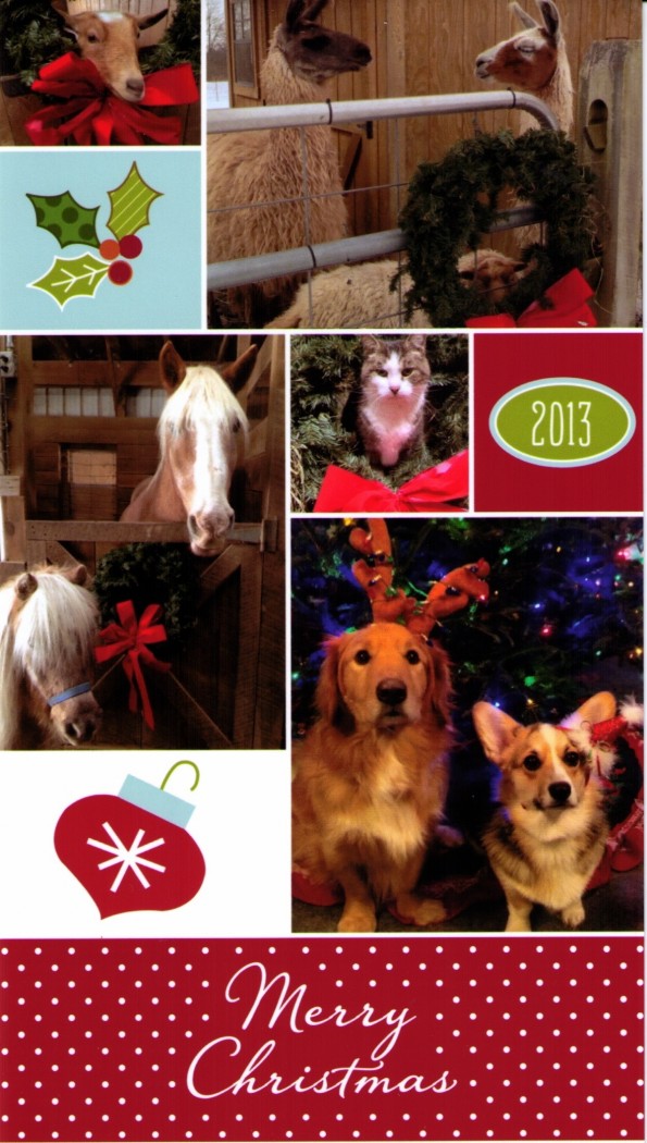 Christmas wishes from Dr Brown's menagerie! 