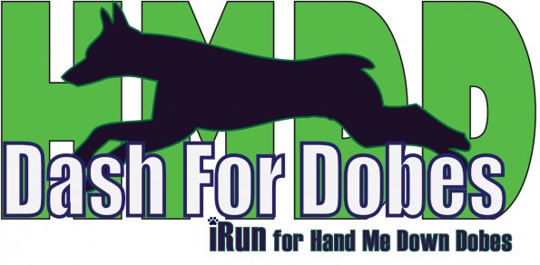 Dash_2015_logo_final